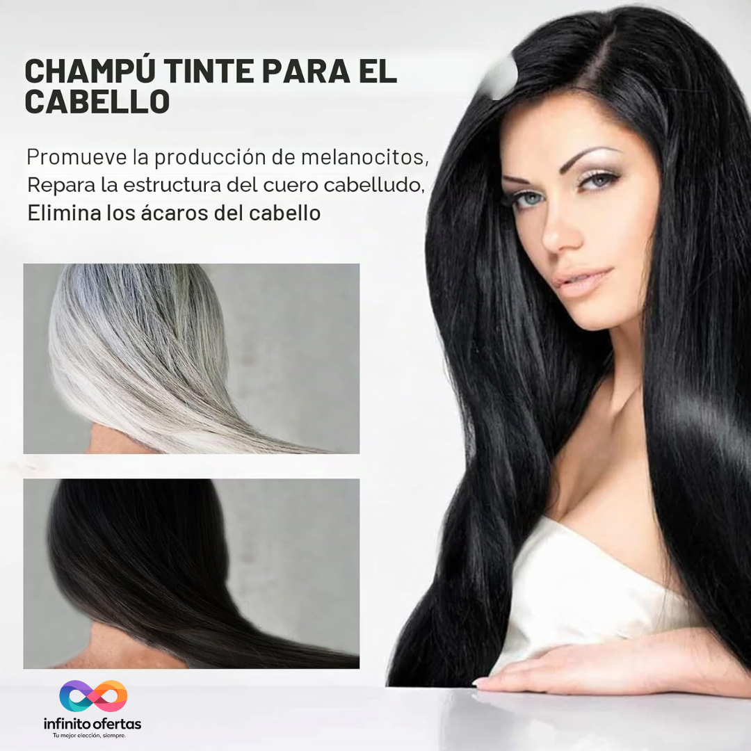 Champú tinte cubre canas